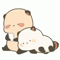 cuddling panda in love